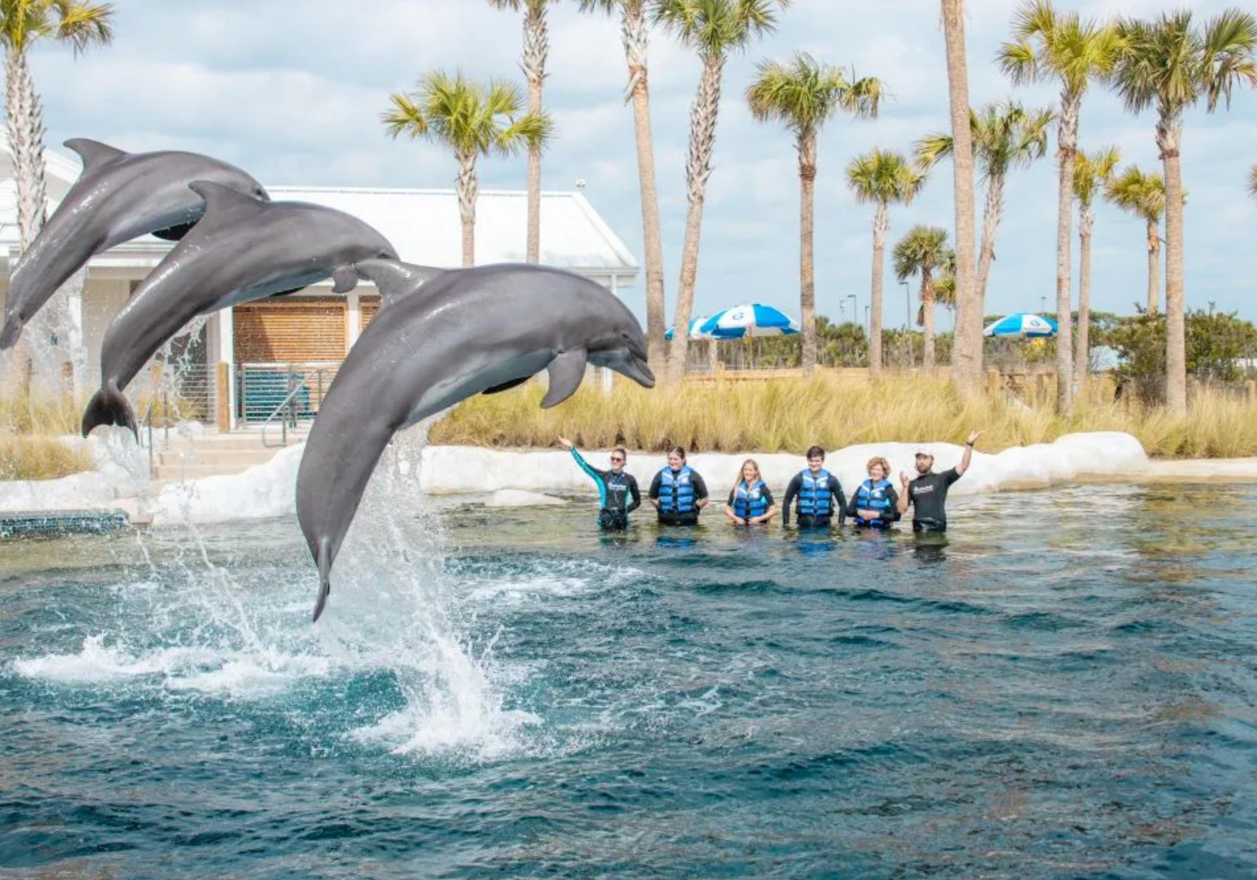Family enjoying Crab Island near Destin Florida with clear water and beach activities