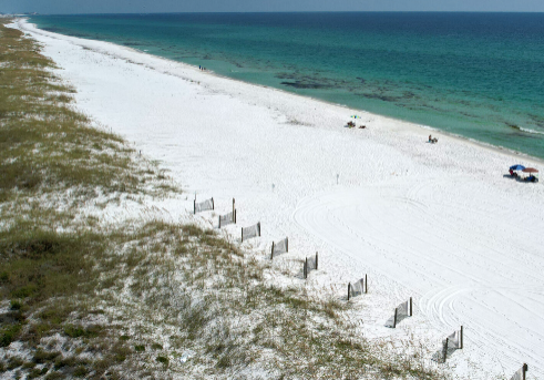 Screenshot 2026-03-12 082602